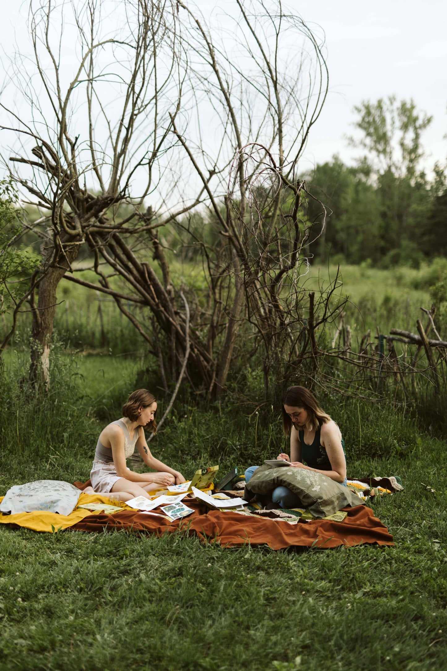 Beginner's Botanical Drawing - Art Kit with Video Lesson