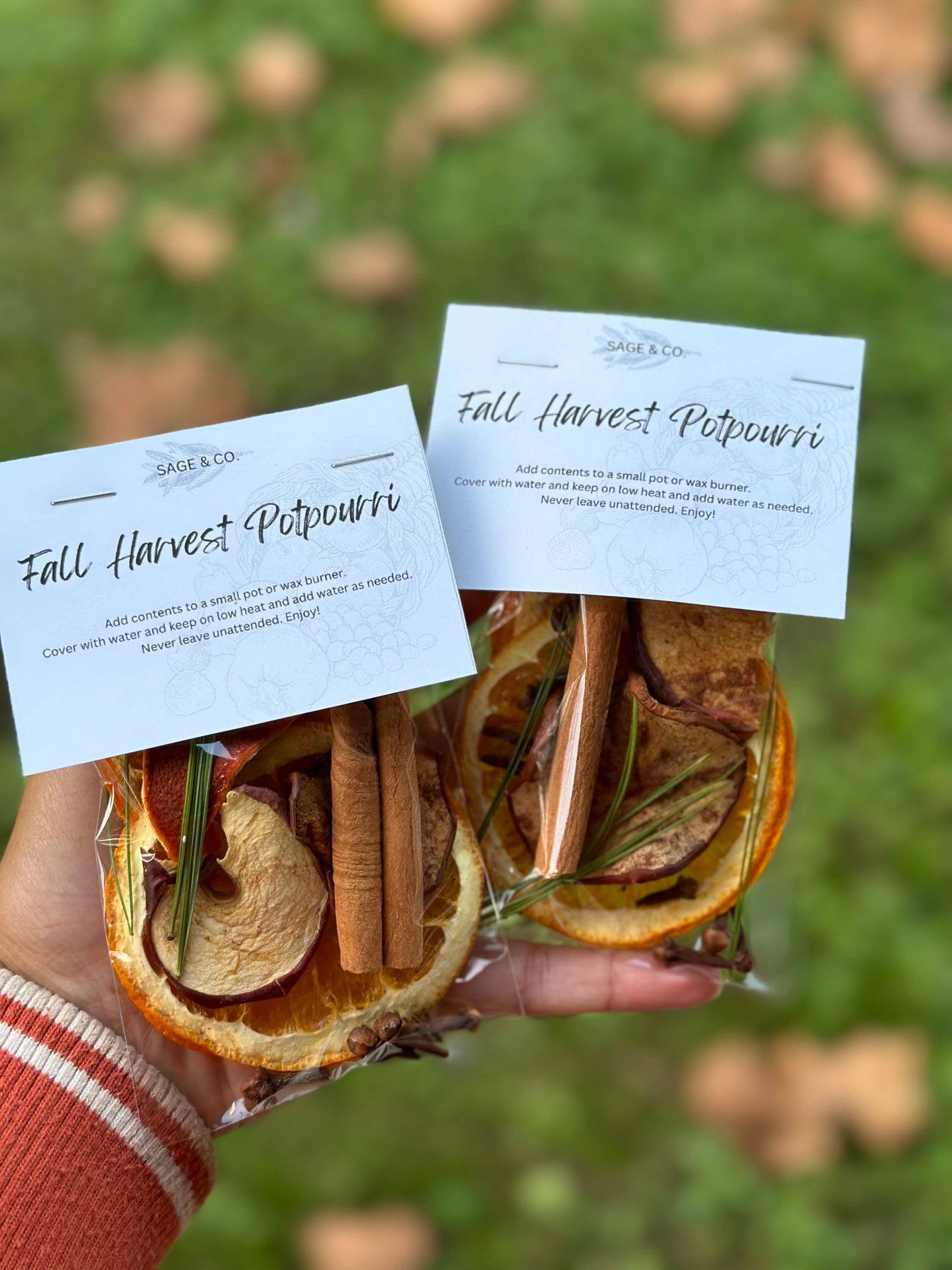 Fall Stove Top Potpourri / Simmer Pot: Medium