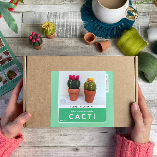 Needle felting kit - Cacti - wool craft project for beginner
