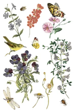 Wilde Bloemen Transfer™ by IOD (Pad of 8 - 8"x12" sheets)