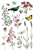 Wilde Bloemen Transfer™ by IOD (Pad of 8 - 8"x12" sheets)