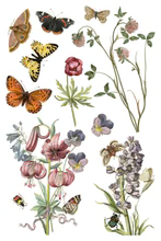 Wilde Bloemen Transfer™ by IOD (Pad of 8 - 8"x12" sheets)