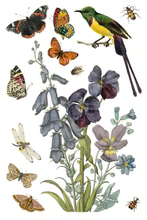 Wilde Bloemen Transfer™ by IOD (Pad of 8 - 8"x12" sheets)