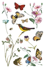 Wilde Bloemen Transfer™ by IOD (Pad of 8 - 8"x12" sheets)