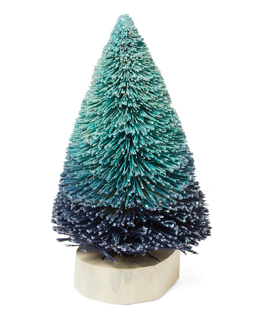 Blue Bottle Brush Tree