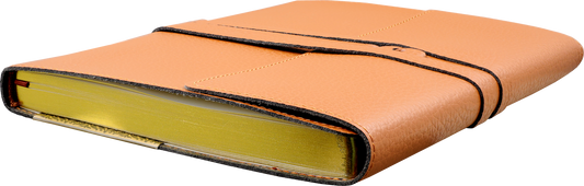 Leather Wrap Journal