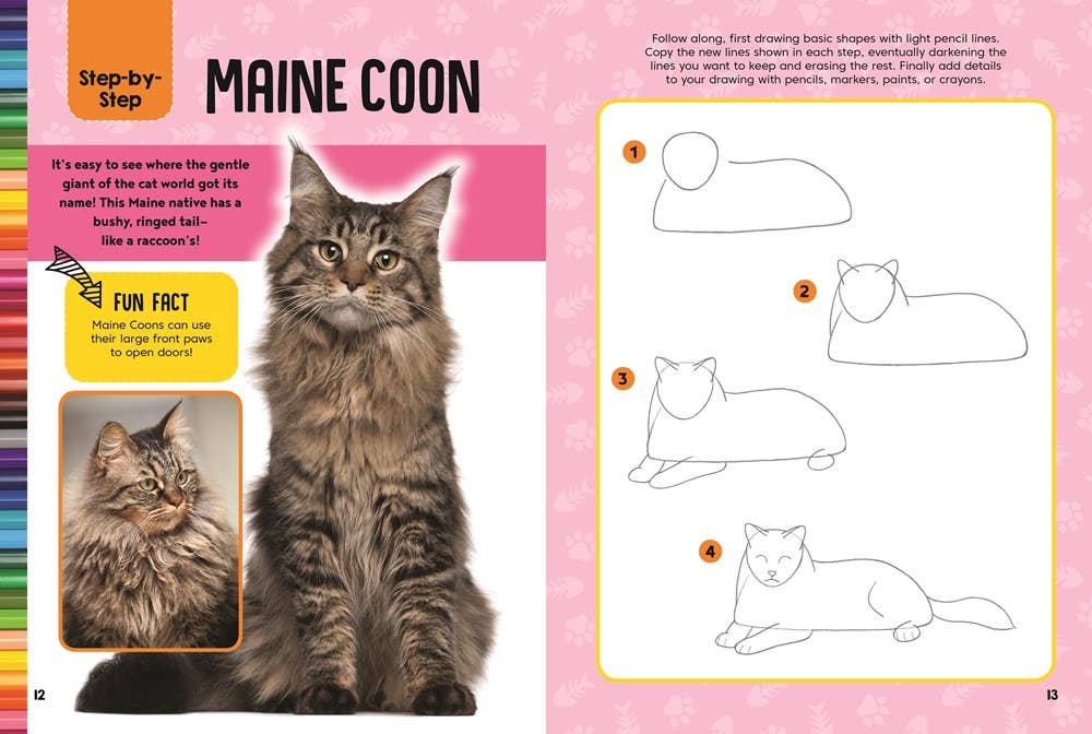 Cats & Kittens Drawing & Activity Book: Learn to Draw Cats