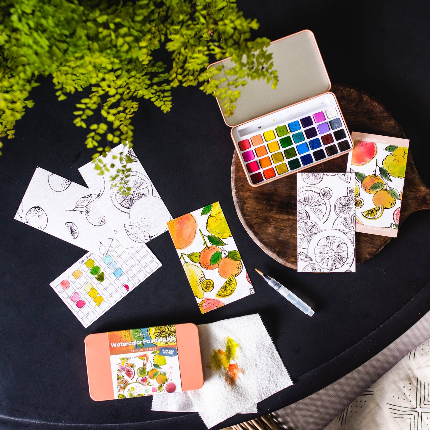 Citrus Fruits watercolor painting kit