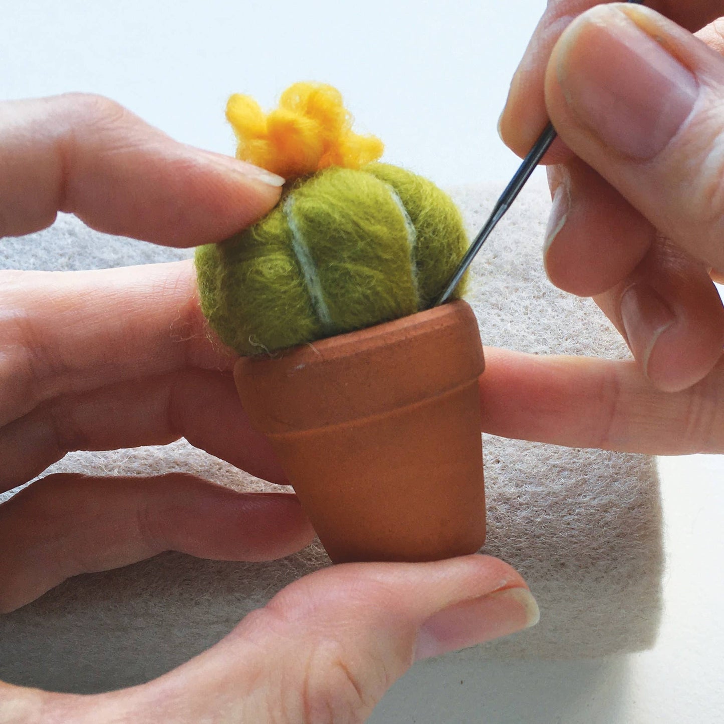 Needle felting kit - Cacti - wool craft project for beginner