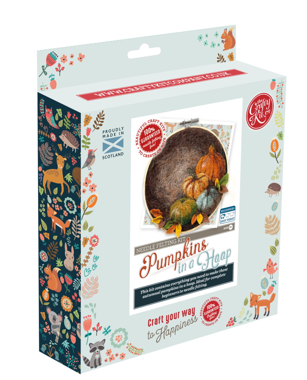 Paint with Wool: Pumpkin in a Hoop Needle Felt Craft Kit