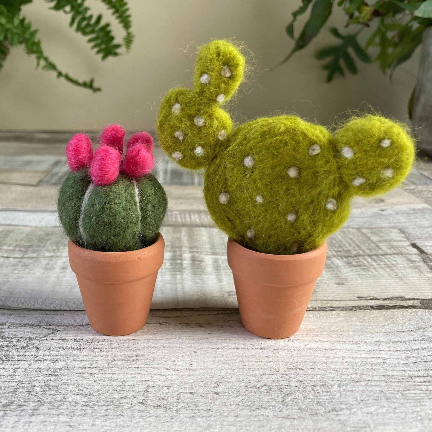 Needle felting kit - Cacti - wool craft project for beginner