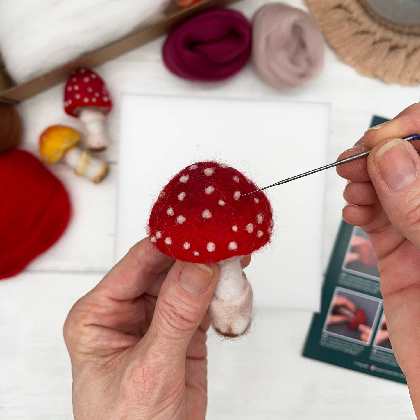 Needle Felting Kit, Toadstools