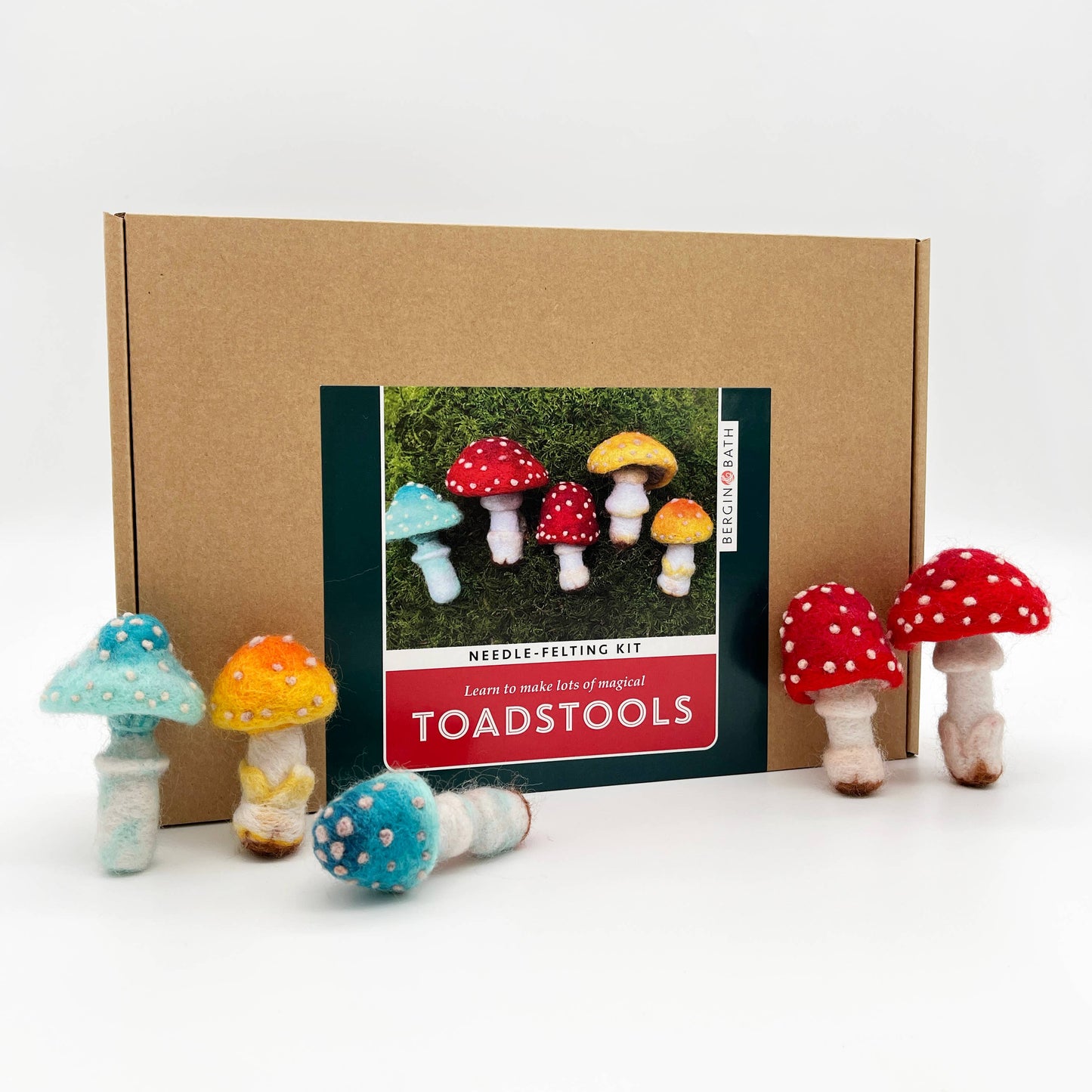 Needle Felting Kit, Toadstools