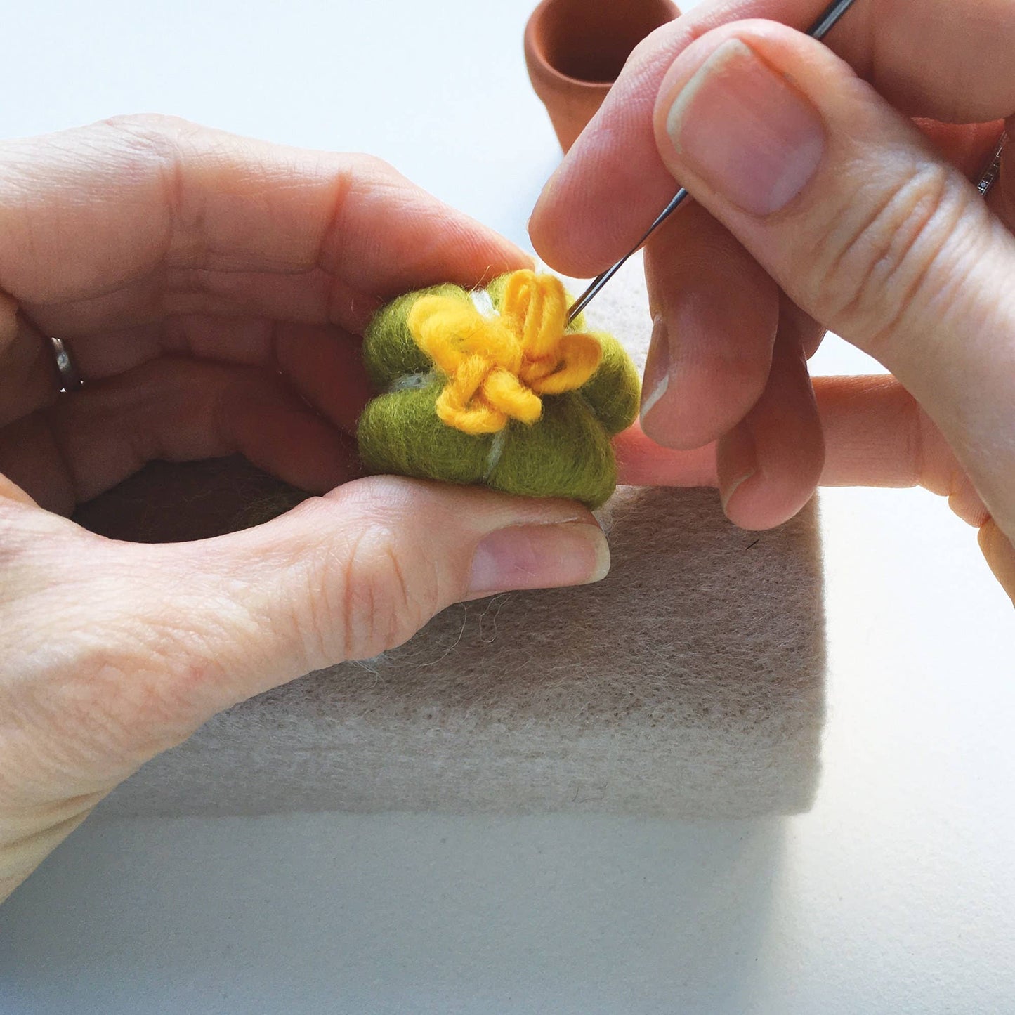 Needle felting kit - Cacti - wool craft project for beginner