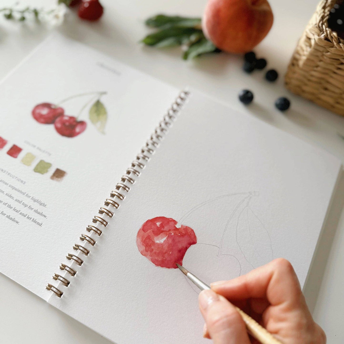 Fruit watercolor workbook