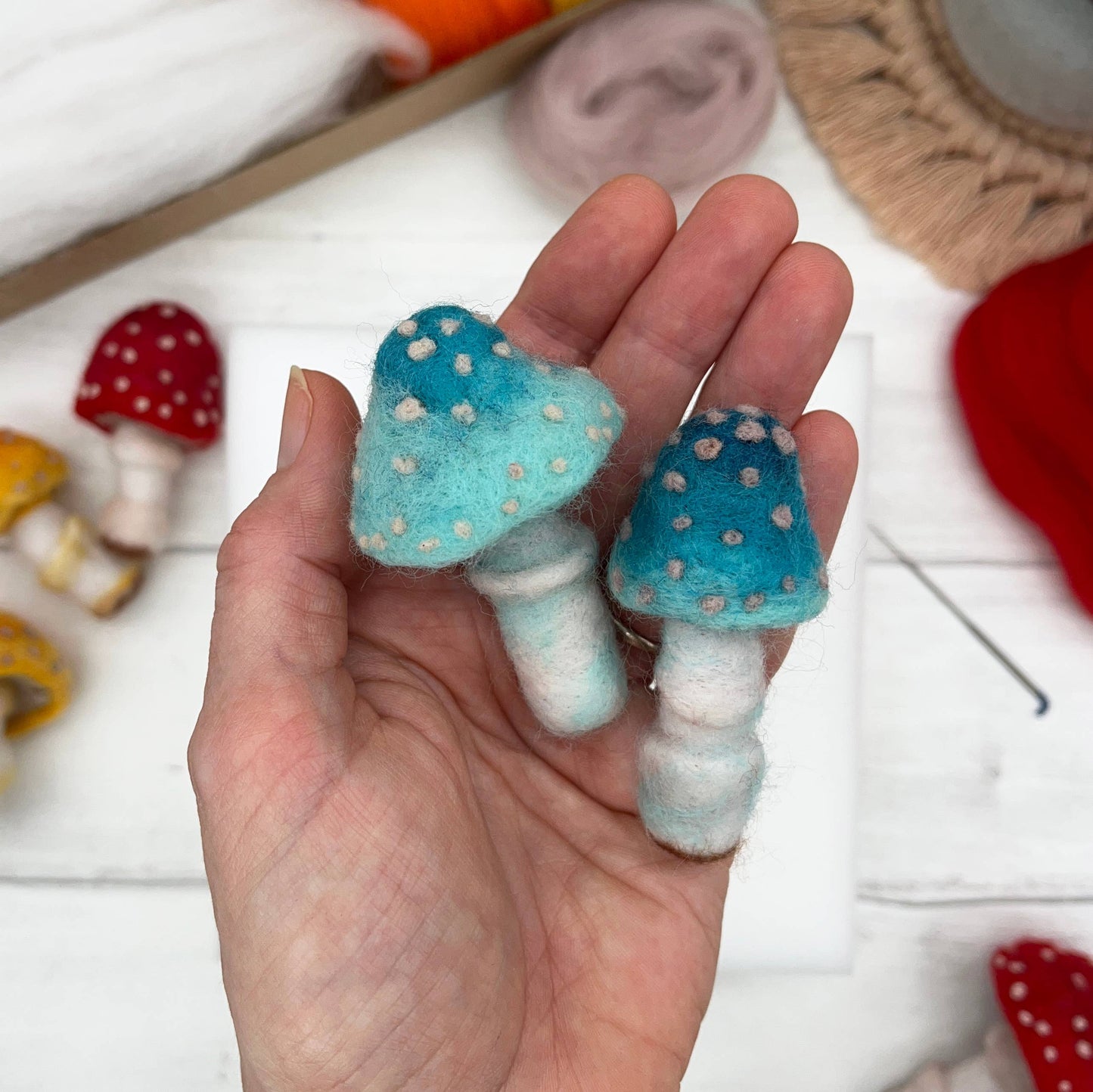 Needle Felting Kit, Toadstools