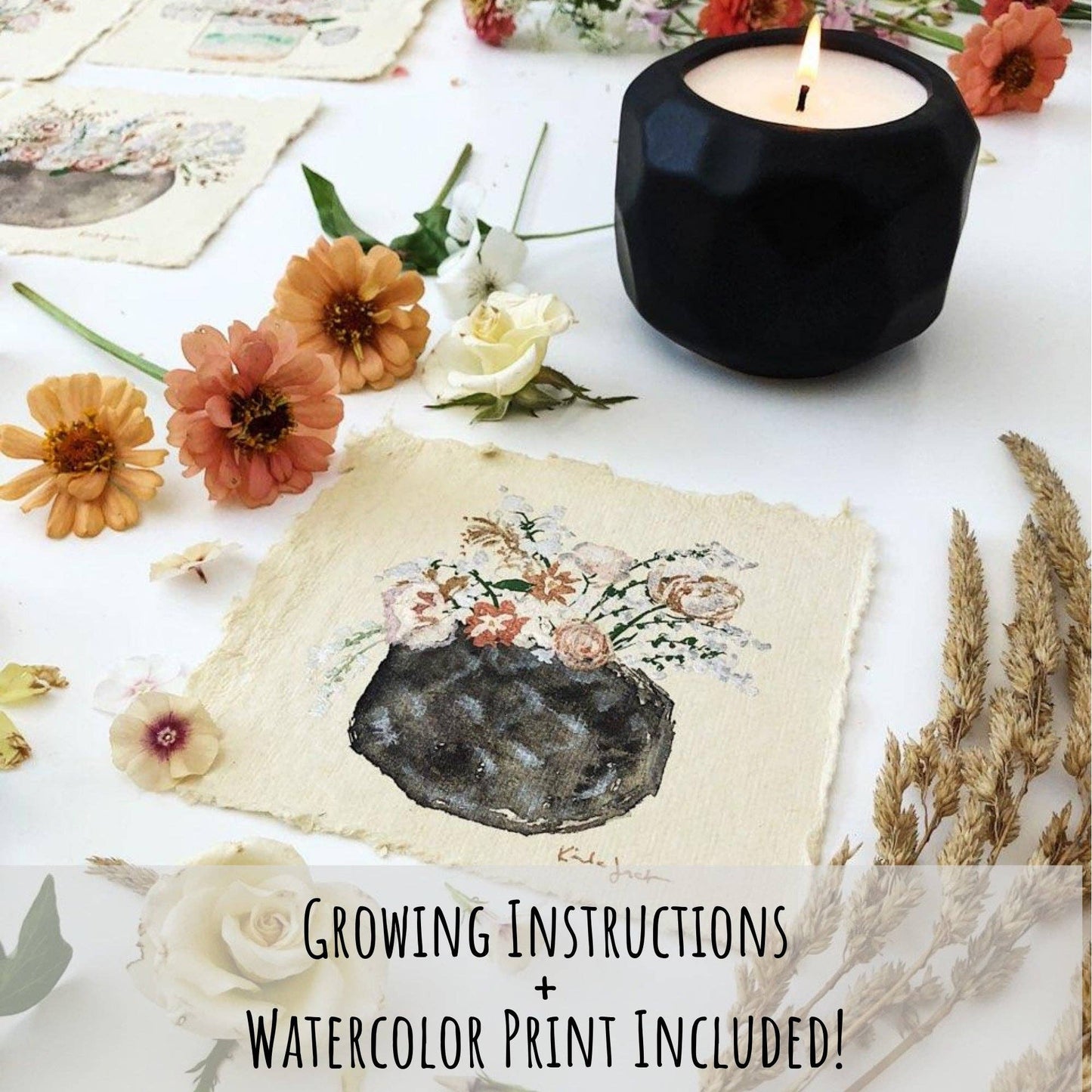 Emma: Coffee + Cream