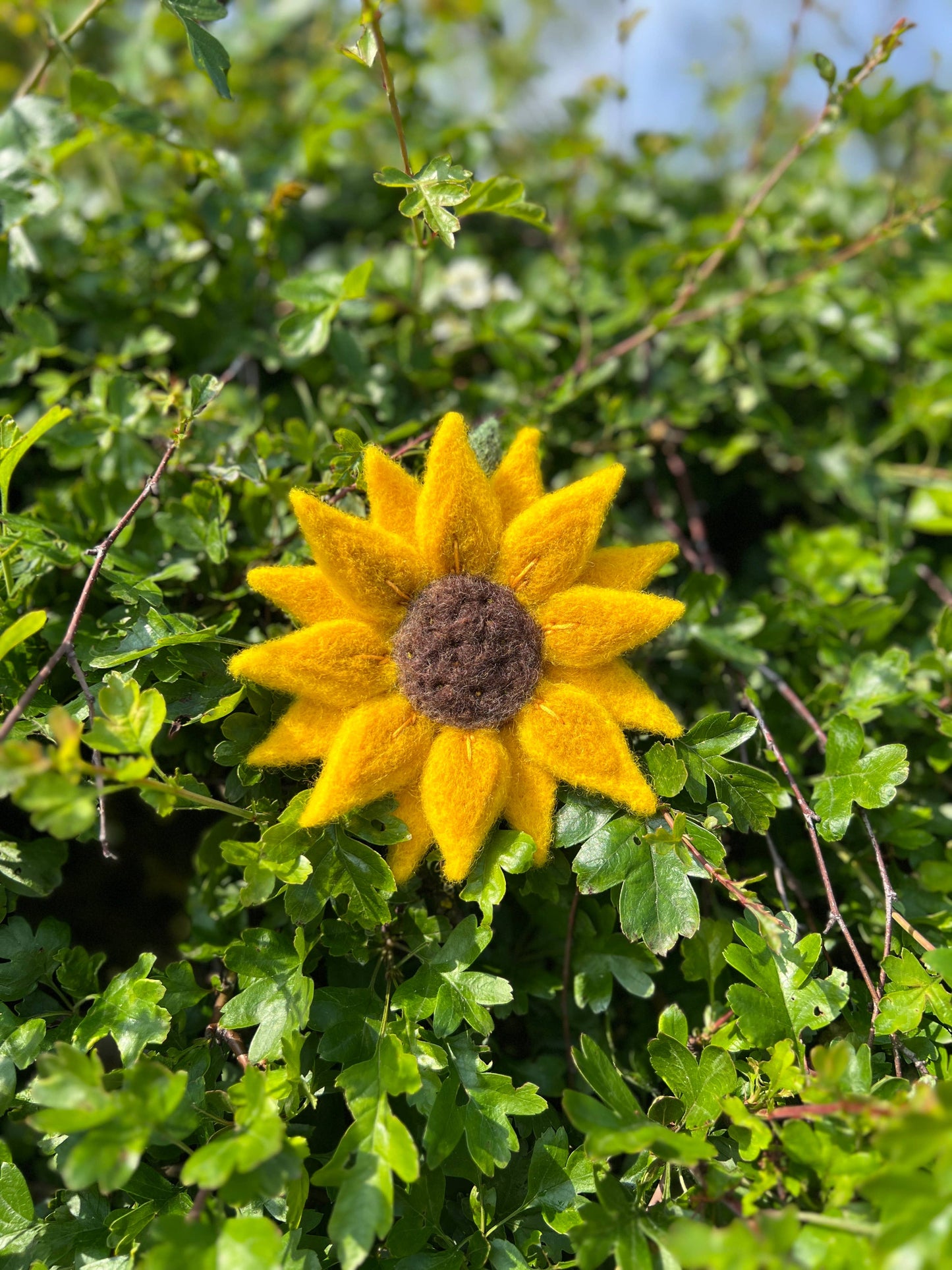 Sunflower Needle Felting Craft Kit