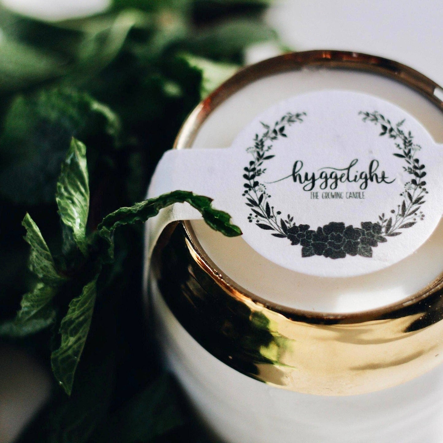 Clara: Sandalwood + Vanilla