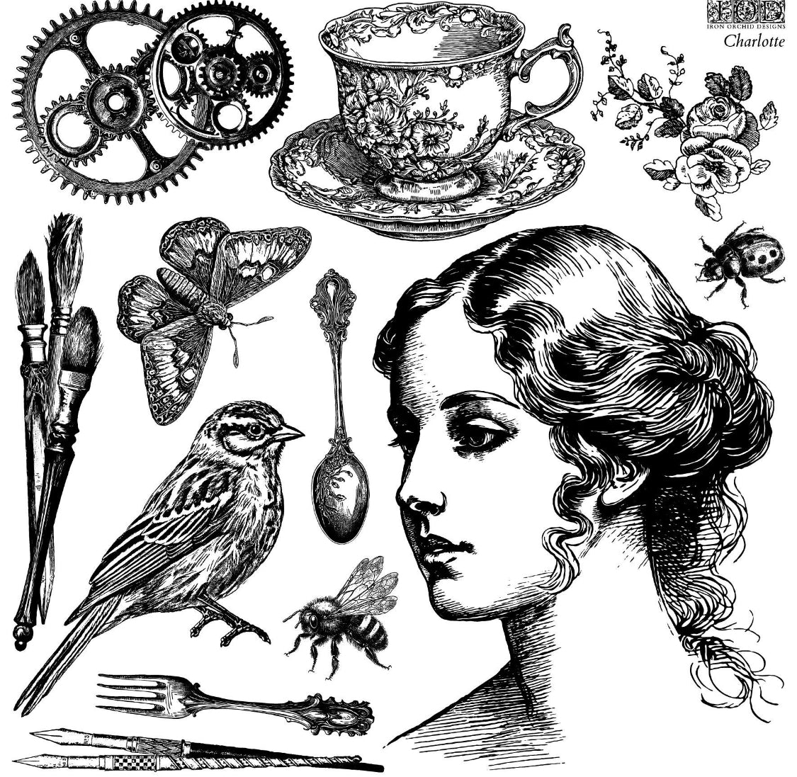 Charlotte 12x12 IOD Stamp™