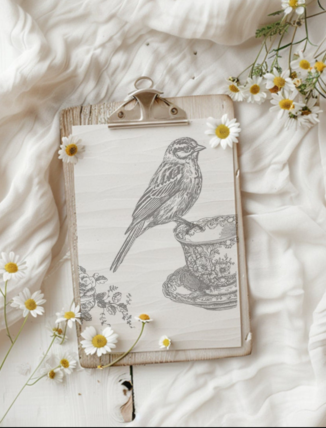 Charlotte 12x12 IOD Stamp™