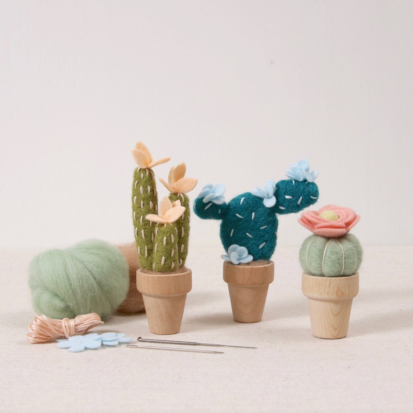 Needle Felting Kit, Prickly Pear: Needle Felting Kit