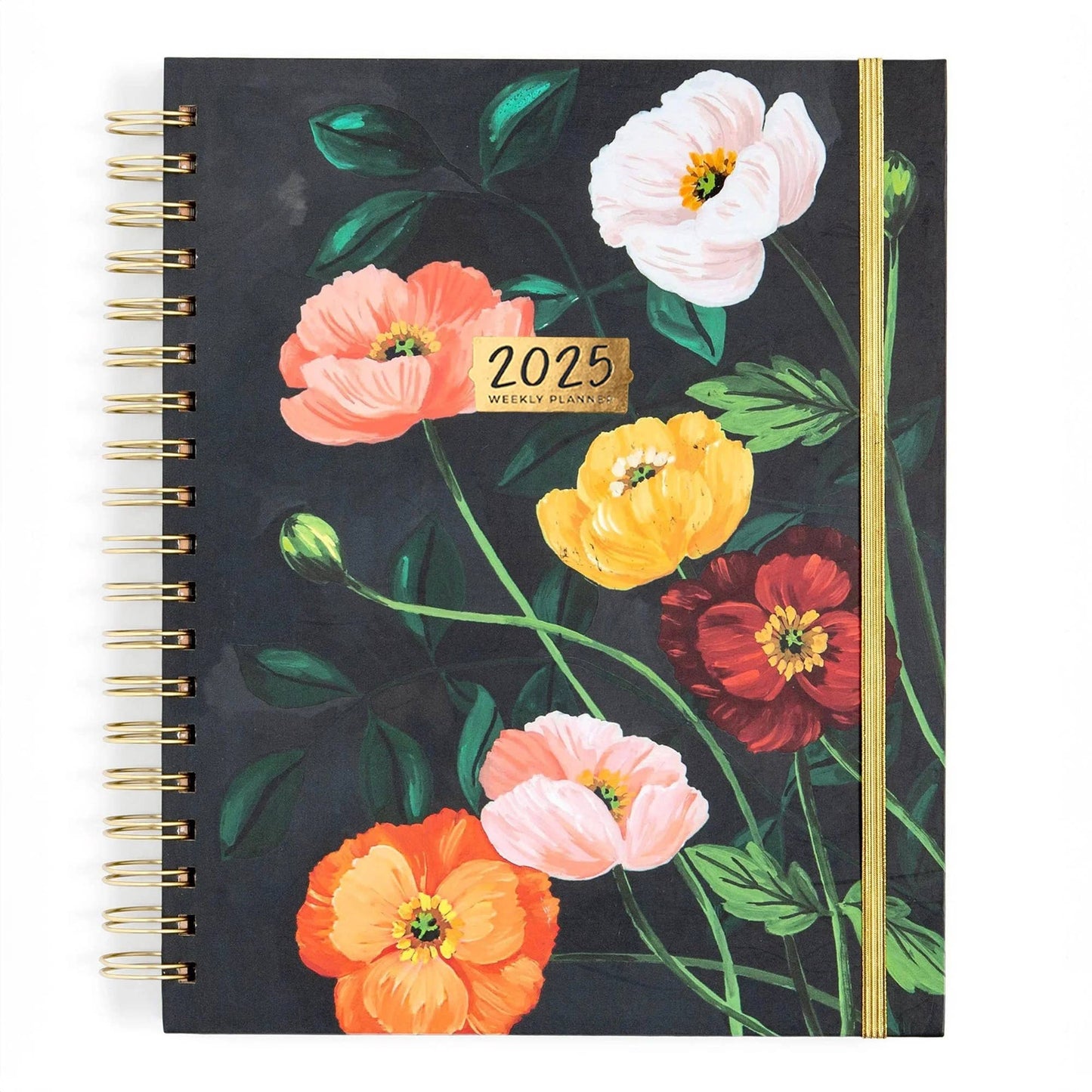 Pacifica Planner: Calendar Year