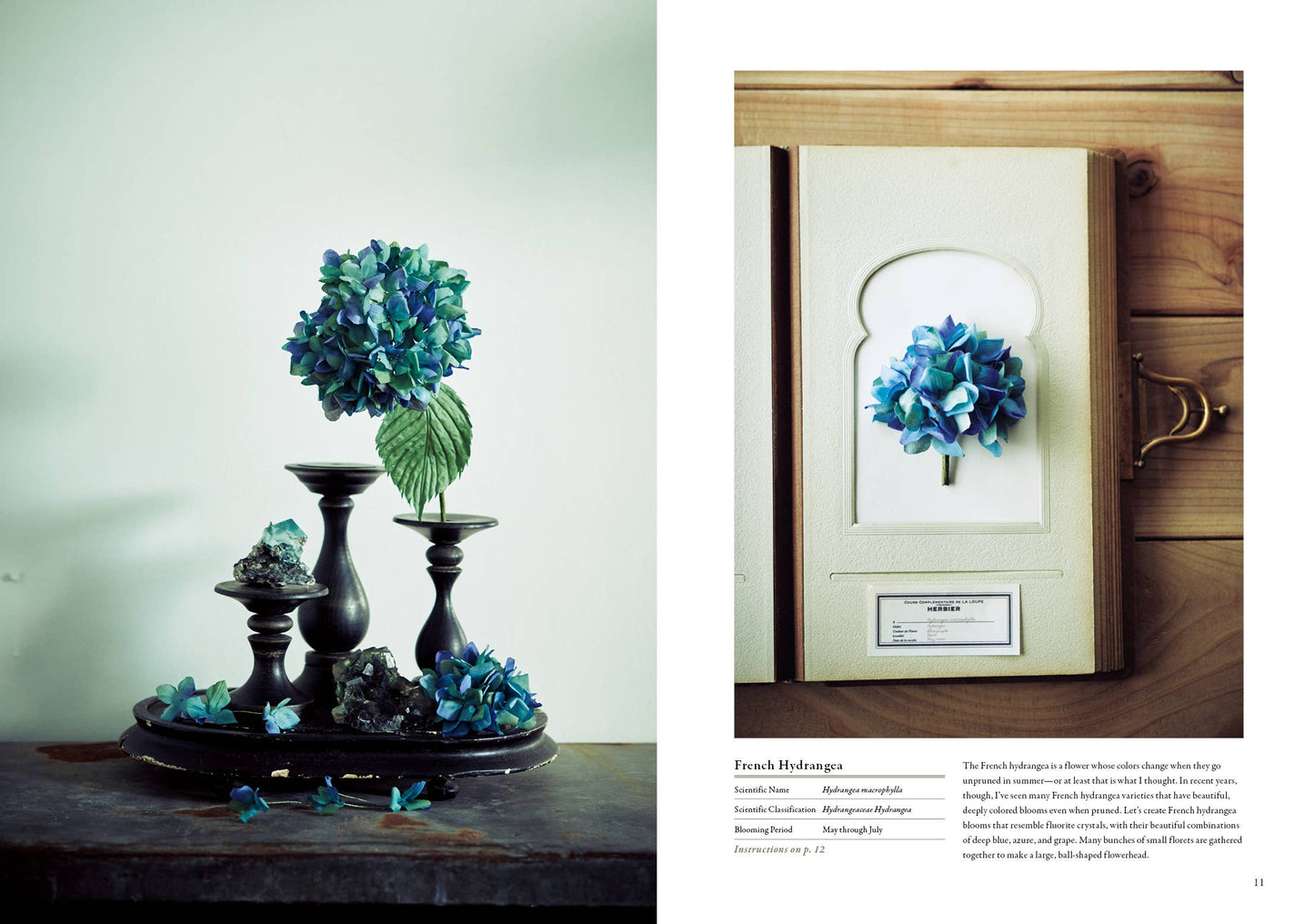 The Herbarium of Fabric Flowers