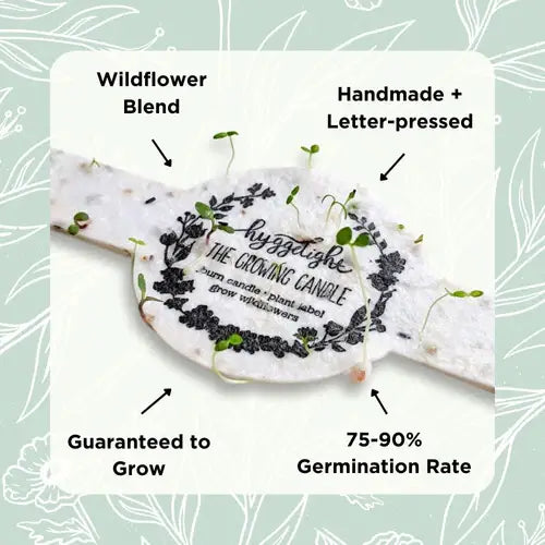 Ida | Growing Candle, flower seed-label, gifts, candles: Rosemary + Sage