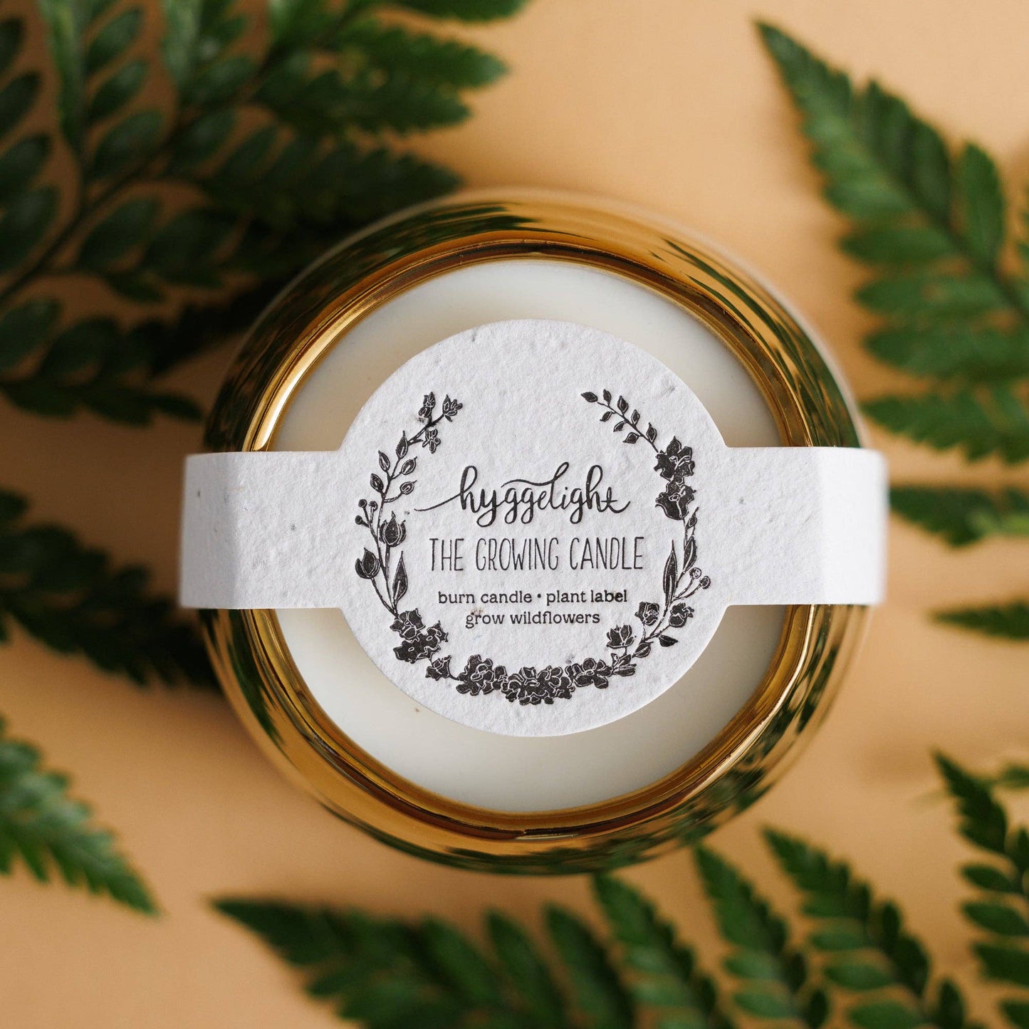 Clara: Sandalwood + Vanilla