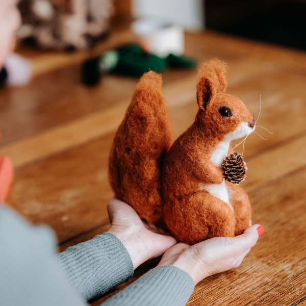 Highland Red Squirrel Needle Felting Craft Kit