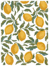 Portofino Decor Paint Inlay™ by IOD (Pad of 8 - 12"x16" sheets) - Will Ship Week of 2/24!