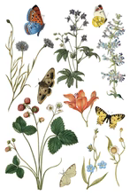 Wilde Bloemen Transfer™ by IOD (Pad of 8 - 8"x12" sheets) - Will Ship Week of 2/24!