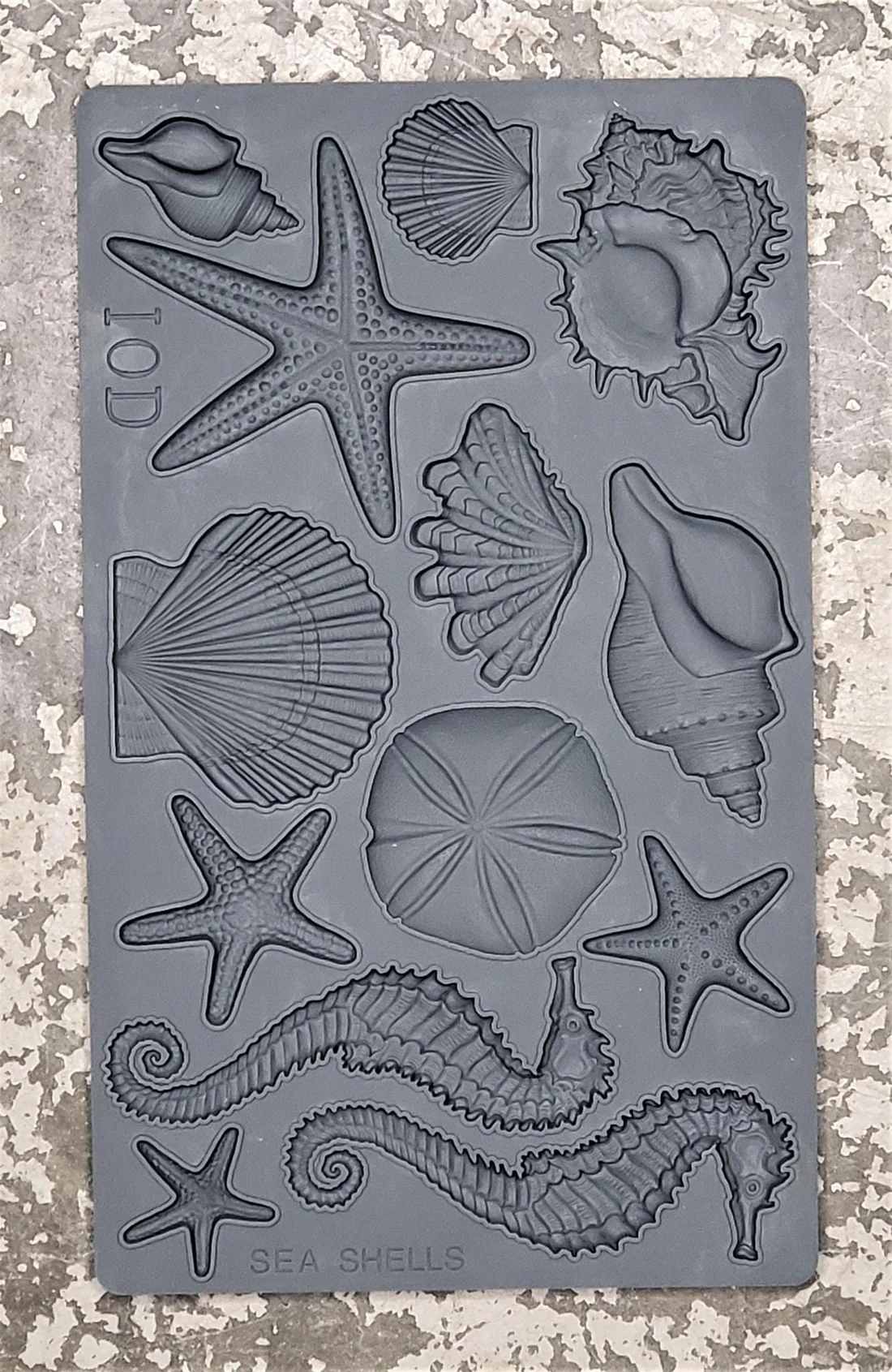 Sea Shells 6x10 IOD Moulds™