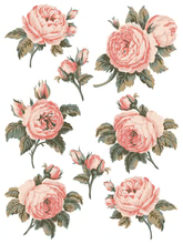 Spring Melody Decor Paint Inlay™ by IOD (Pad of 8 - 12"x16" sheets) - Will Ship Week of 2/24!