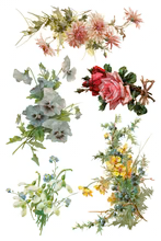 Catharina Decor Transfer™ by IOD (Pad of 8 - 8"x12" sheets)