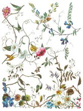 Lost Garden Transfer™ by IOD (Pad of 8 - 12"x16" sheets)