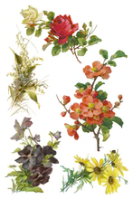 Catharina Decor Transfer™ by IOD (Pad of 8 - 8"x12" sheets)