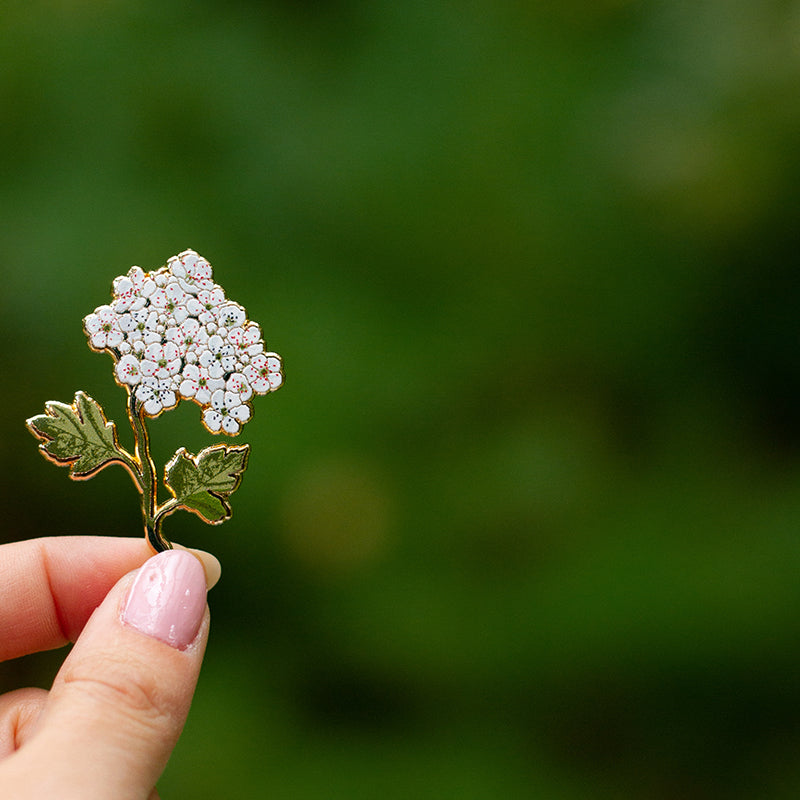 Hawthorn Floral Enamel Pin | May Birth Month Flower