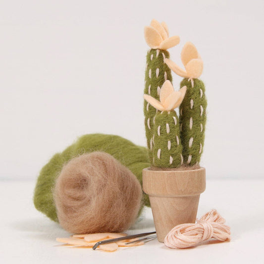 Needle Felting Kit, Peach Mojave: Needle Felting Kit