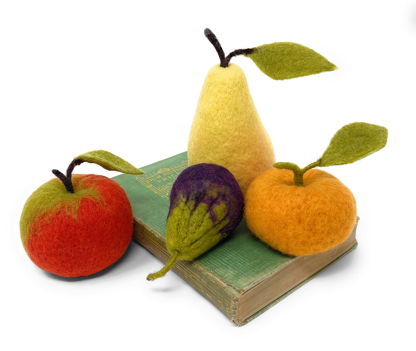 Seasonal Fruit Needle Felting Craft Kit