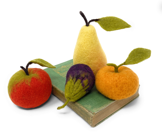 Seasonal Fruit Needle Felting Craft Kit