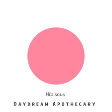 Coastal By Llewelyn of Worn to Whimsy-Clay and Chalk Paint - Daydream Apothecary Paint Zero VOC