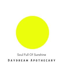 Neons by Anissa - Neon Clay And Chalk Paint - Daydream Apothecary Paint Zero VOC