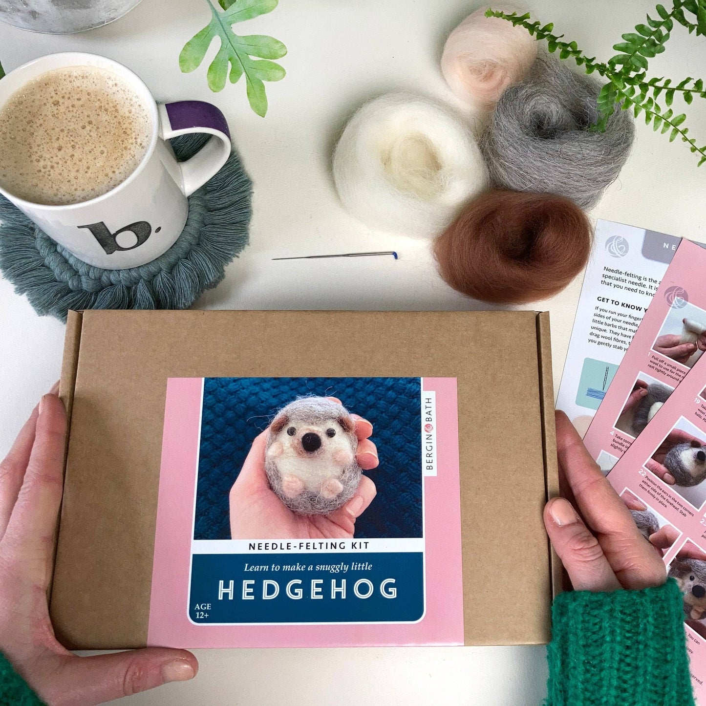 Needle Felting Kit, Hedgehog, Beginners, Creative Gift Idea