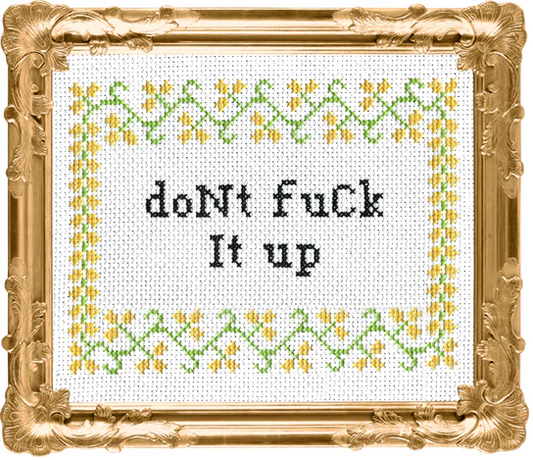 Don't F*ck It Up!: Deluxe Cross Stitch Kit